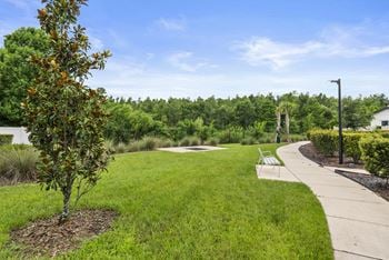 Walking paths